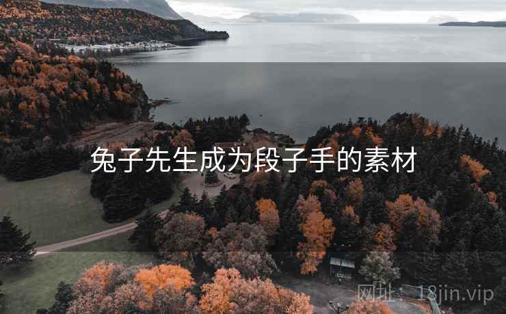 兔子先生成为段子手的素材