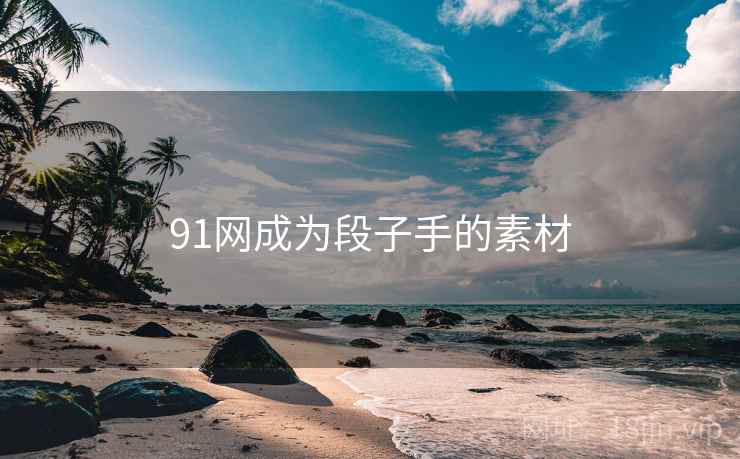 91网成为段子手的素材  第1张