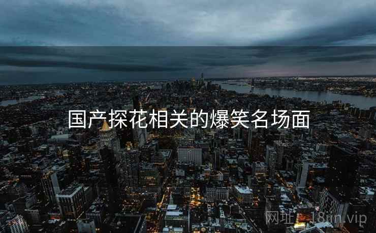 国产探花相关的爆笑名场面