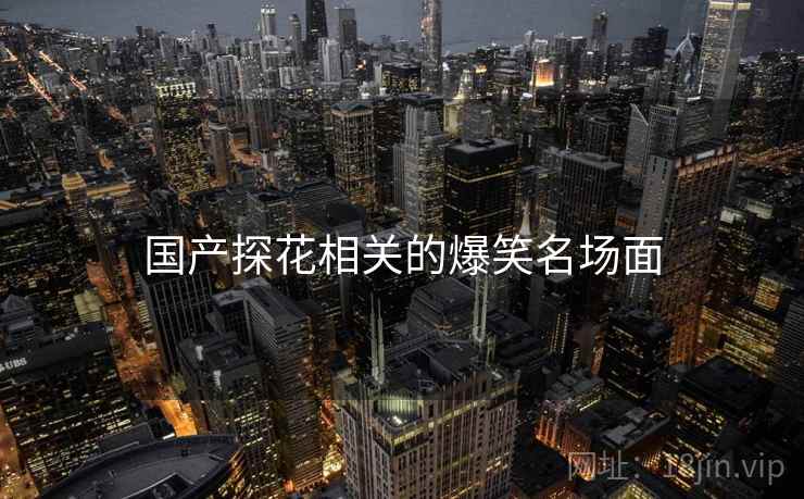 国产探花相关的爆笑名场面