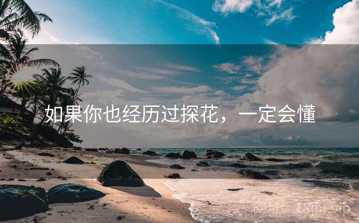 如果你也经历过探花，一定会懂