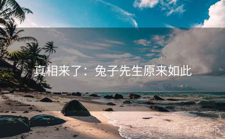 真相来了：兔子先生原来如此