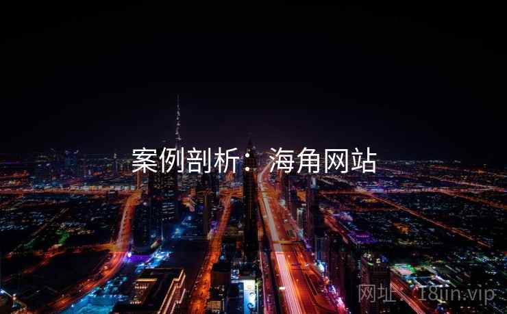 案例剖析：海角网站