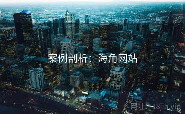 案例剖析：海角网站