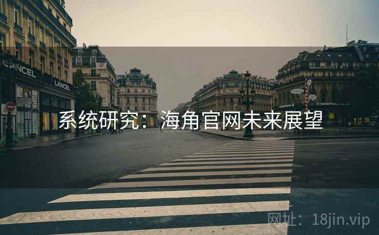 系统研究：海角官网未来展望