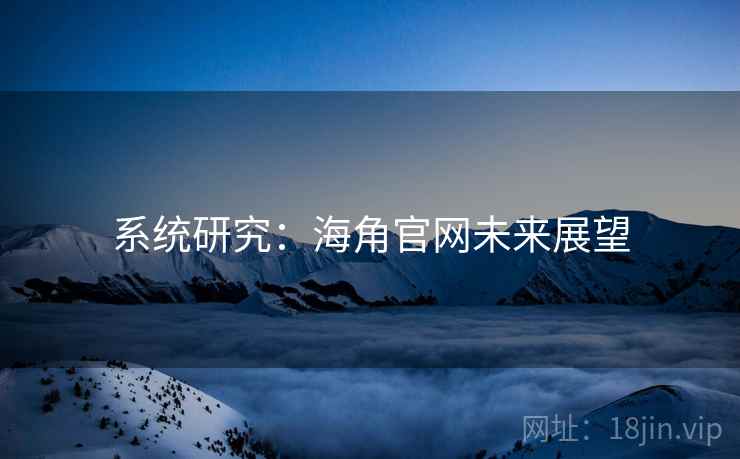 系统研究：海角官网未来展望