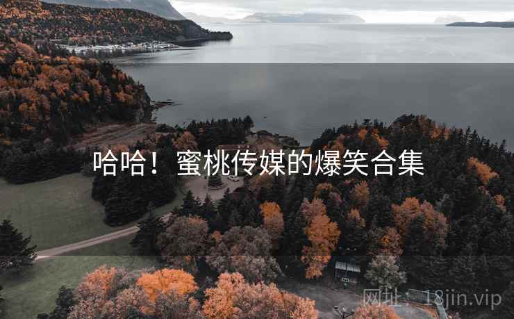 哈哈！蜜桃传媒的爆笑合集