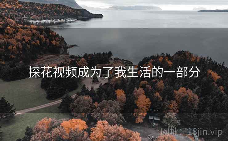 探花视频成为了我生活的一部分