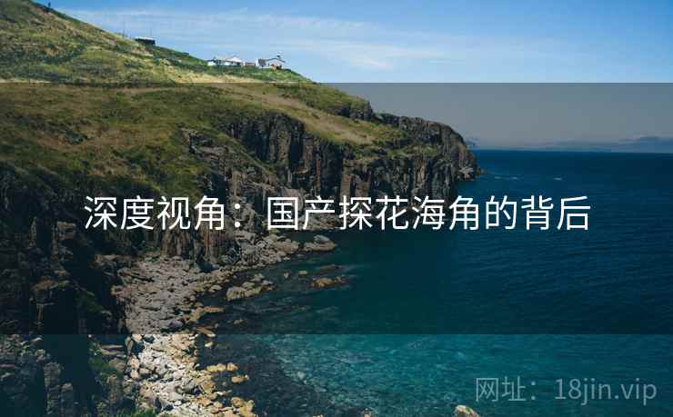 深度视角：国产探花海角的背后
