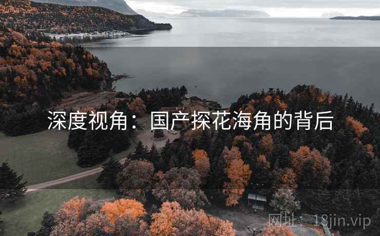 深度视角：国产探花海角的背后
