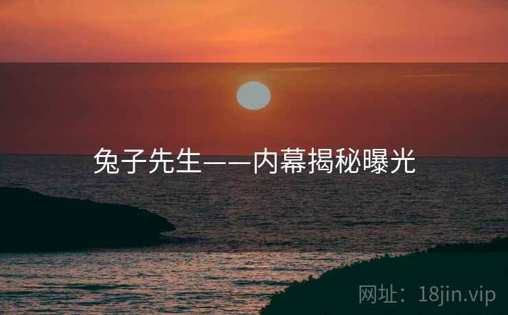 兔子先生——内幕揭秘曝光