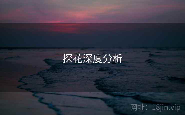 探花深度分析
