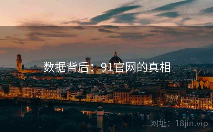 数据背后：91官网的真相