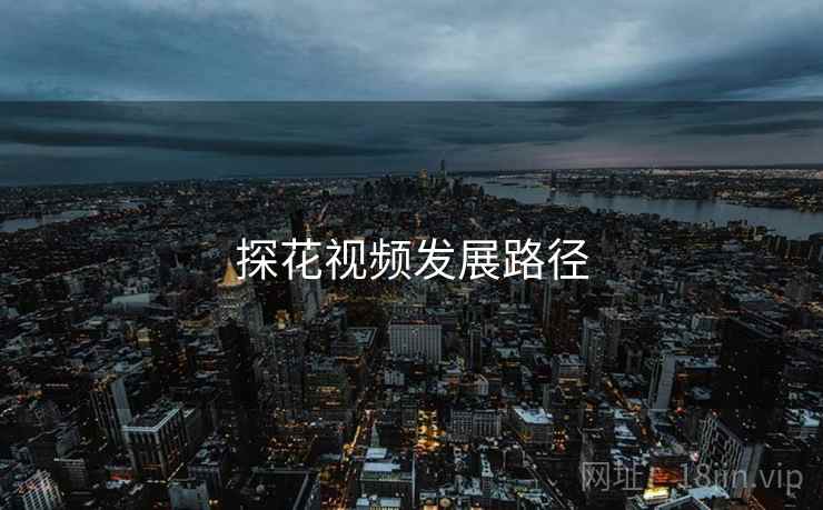 探花视频发展路径