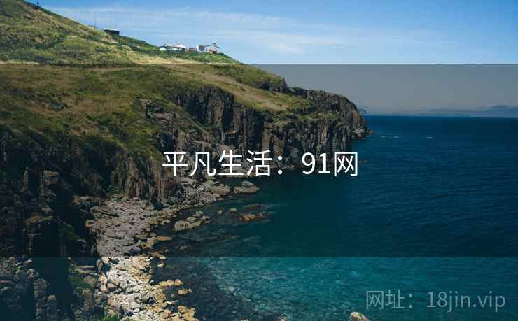 平凡生活：91网
