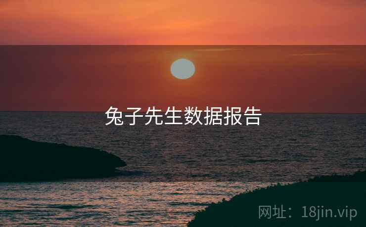 兔子先生数据报告