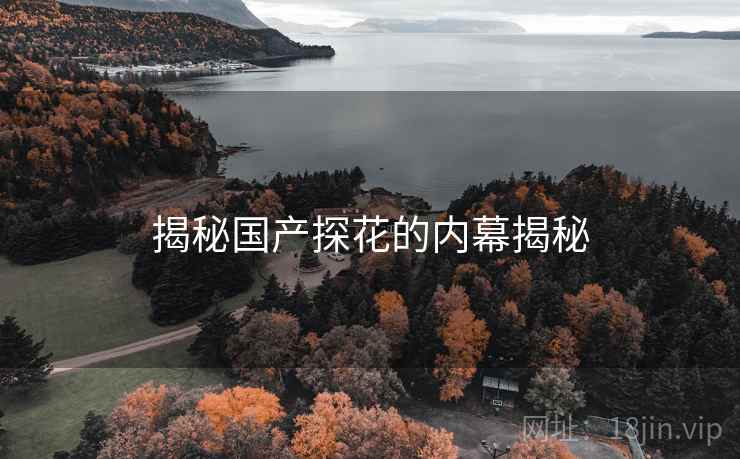 揭秘国产探花的内幕揭秘