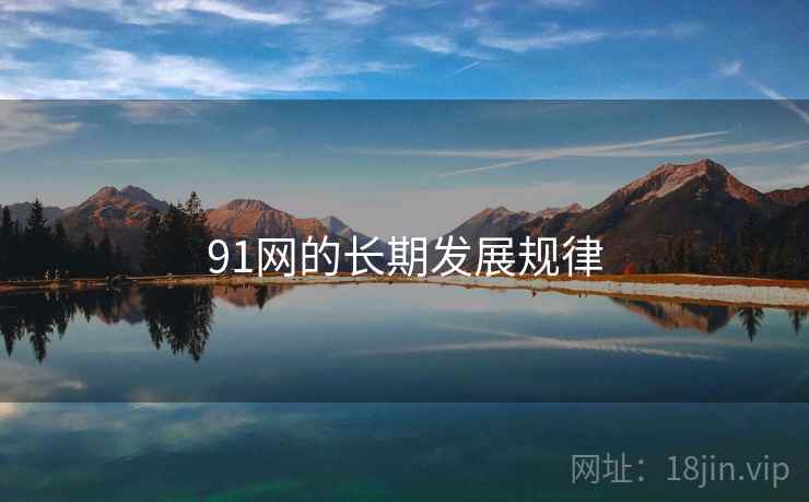 91网的长期发展规律