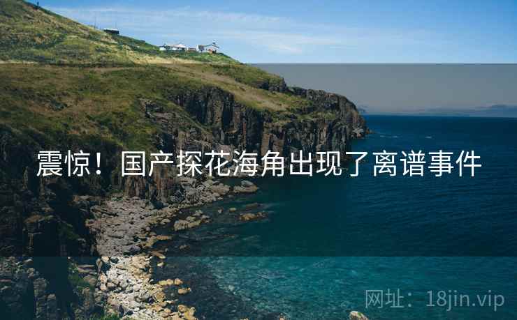 震惊！国产探花海角出现了离谱事件