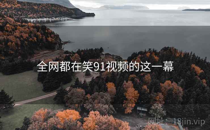 全网都在笑91视频的这一幕