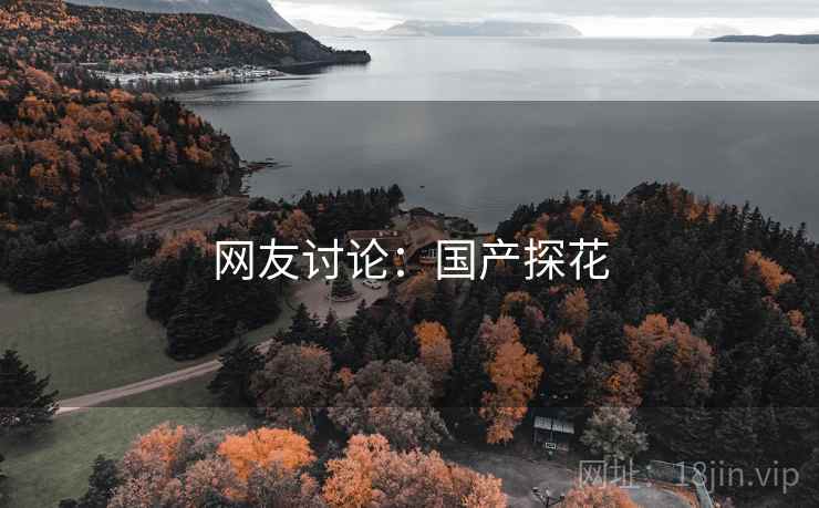网友讨论：国产探花