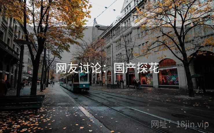 网友讨论：国产探花